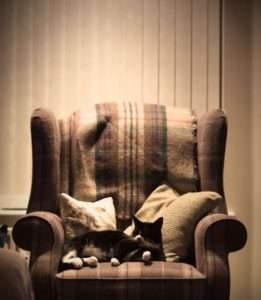 Recliner Repair Cost - How Much Does It Cost To Repair A Recliner?